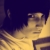 :icontobirawrr: