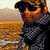 ToBri :icontobri: