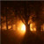 :icontod-der-unschuld: