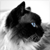 :icontodadevi: