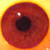 :icontodd-gilesbie: