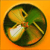 :icontof2005: