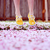 :icontoffee-raisin: