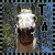 :icontofu-armada: