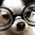 :icontofuassassin: