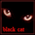 :icontofucatburger: