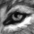 :icontofudragon7: