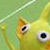 :icontohda: