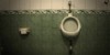 :icontoilet-flush: