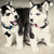 :icontoinfinity-andbeyond: