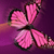 :icontokyo-empress: