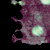 :icontokyo-rainbowlights: