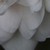 :icontokyolover1: