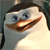 :icontolgatolga:
