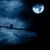:icontollofthenight: