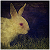 :icontom-as-in-tom: