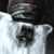 :icontom-b123: