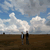 :icontom-boyd: