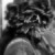 :icontom72: