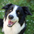 :icontomakua: