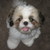 :icontomaurer04: