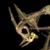 :icontomb332: