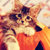 :icontombraiderdogtomboy: