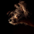 :icontomer-jacobson: