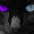 :icontomlover16: