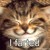 :icontommac3000: