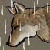 :icontommykun89: