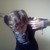 tommykuuntalvi762 :icontommykuuntalvi762: