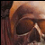:icontommythegunn: