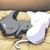 :icontomodashi-neko: