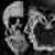 :icontomographer: