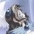 :icontomoyolove:
