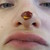 :icontomsia: