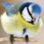 :icontomtit: