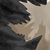 :icontomus7: