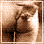 :icontonarinorototo:
