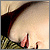 :icontoni-cappellano: