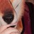 :icontonic-demonic: