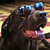 :icontonynatgal: