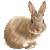 :icontoomanybunnies4: