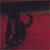 :icontoomanycontrols: