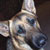 :icontoothfield: