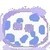 :icontoothjar: