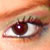 :icontoots9892: