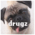 :icontootziepug: