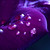 :icontop-dog1: